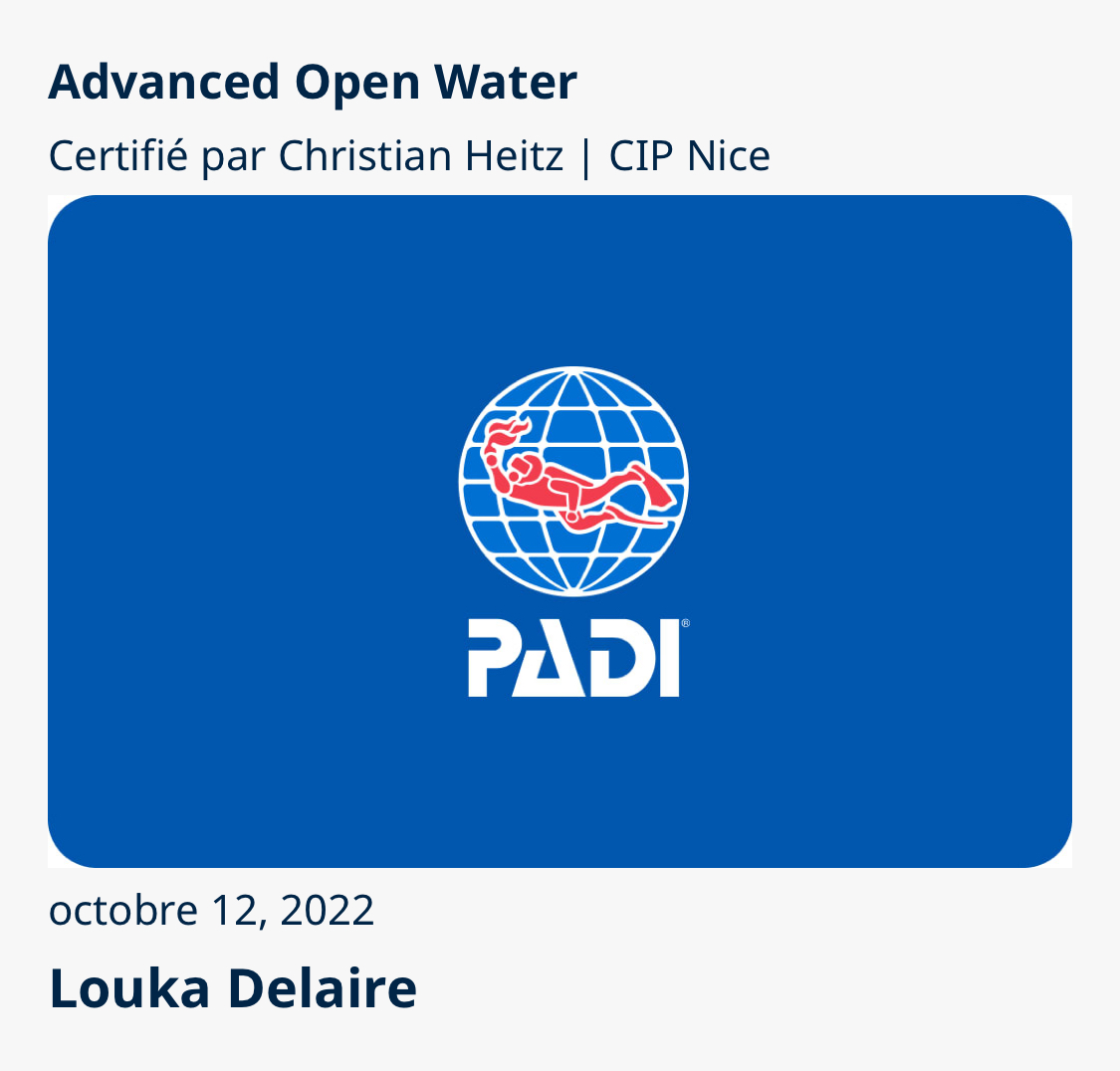 COPIE DE VOTRE NIVEAU DE PLONGEE