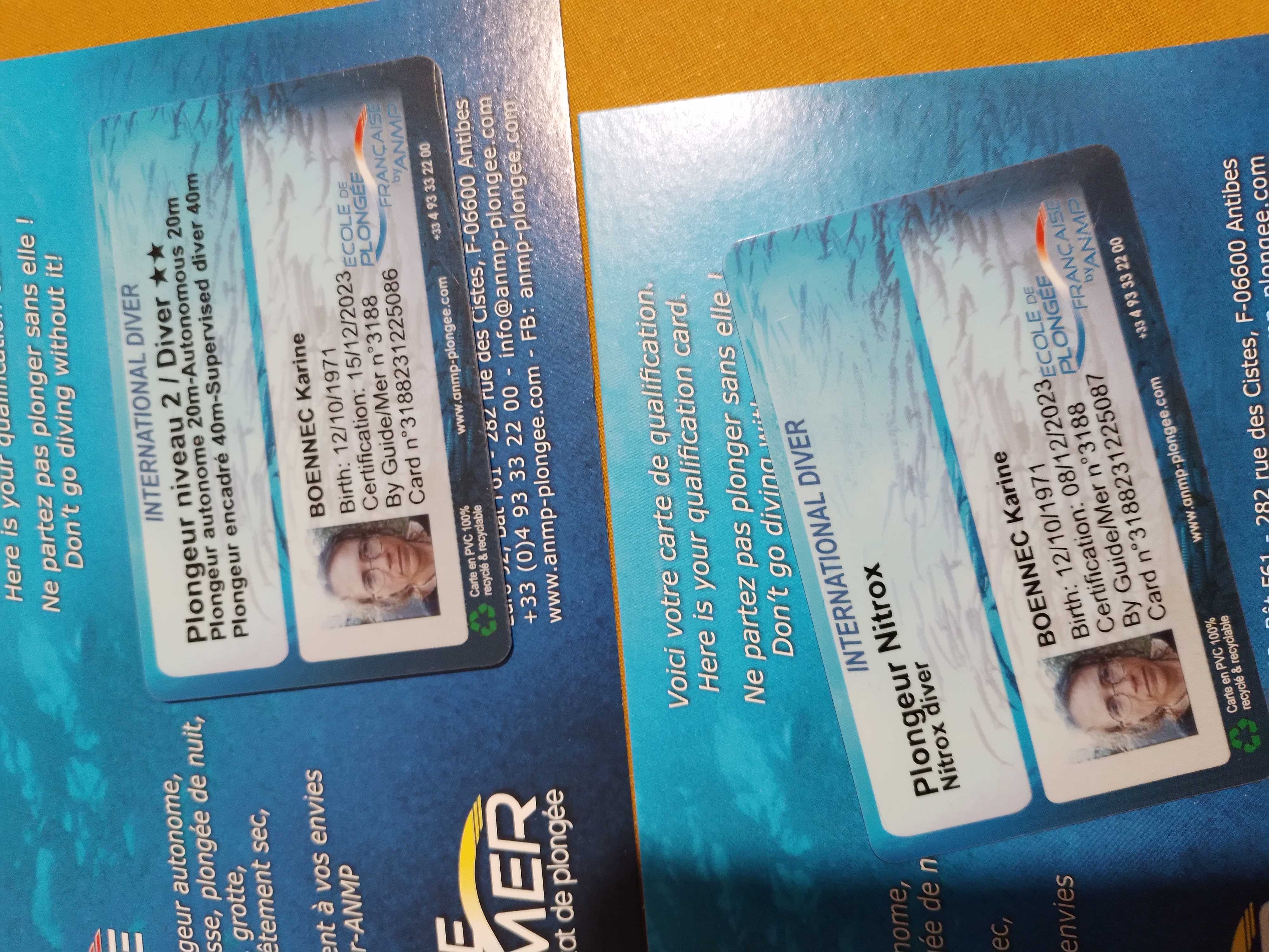 COPIE DE VOTRE NIVEAU DE PLONGEE