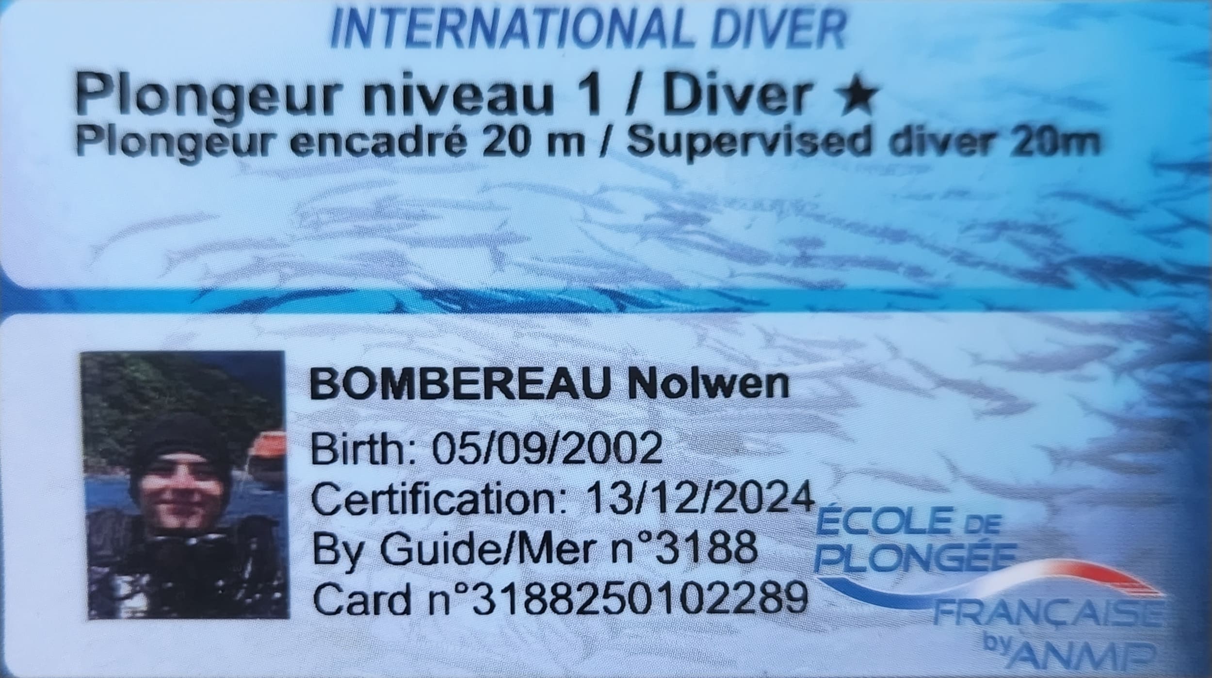 COPIE DE VOTRE NIVEAU DE PLONGEE