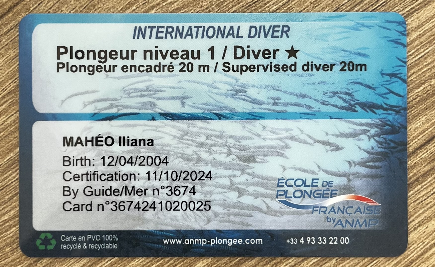 COPIE DE VOTRE NIVEAU DE PLONGEE