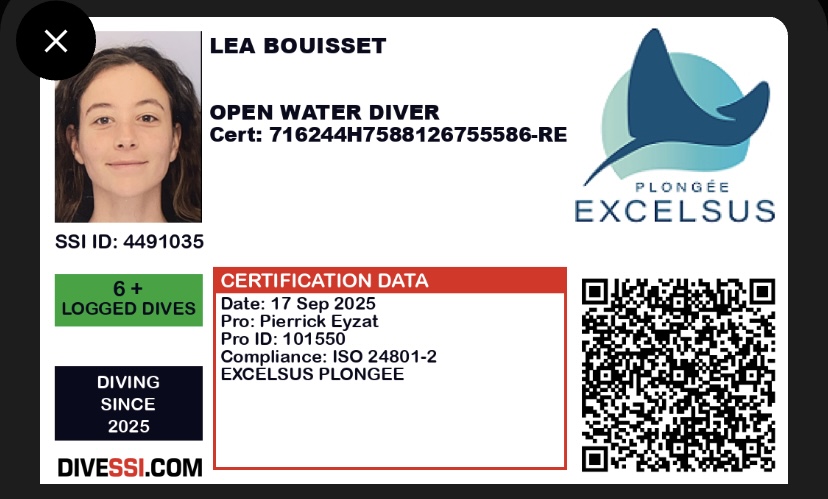 COPIE DE VOTRE NIVEAU DE PLONGEE